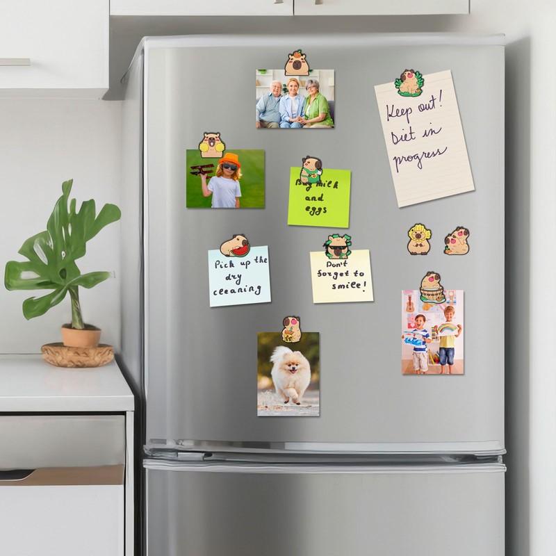 Fridge Magnets, 10 Pack Cute Lovely Capybara DIY Magnets for