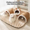 Cat Tunnel Bed Indoor,Cat Peekaboo Cave Bed for Multiple Cats,Kitty