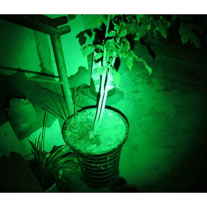 WONDSUNSON 2 x Green Light Pen Type Penlight Flashlight One