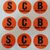 Unbranded Orange Bathroom Shampoo Conditioner & Body Wash Decals Stickers