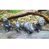 London Ornaments Rabbits set of 4