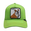 Goorin Butch Baseball Cap, Green