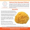 100% Natural Sea Sponge 5-6" by Spa Destinations"Creating The In