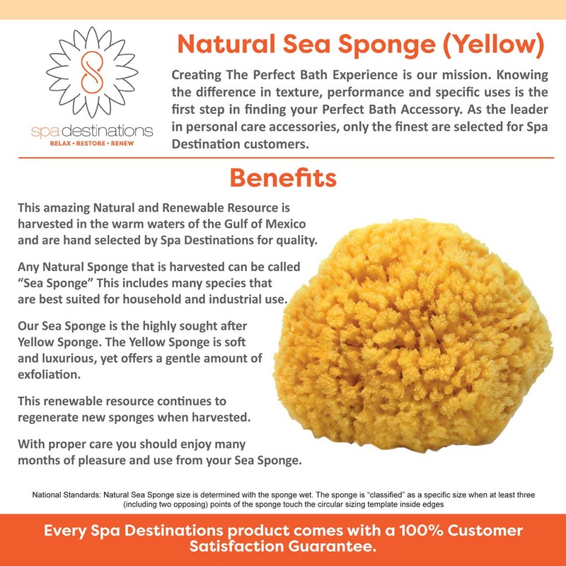 100% Natural Sea Sponge 5-6" by Spa Destinations"Creating The In