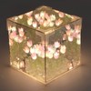 2 in 1 Tulip Cube Mirror Lamp LED Decorative Night