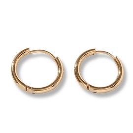 mico.lor Stainless Steel Hoop Earrings for Both Ears (1) Extra Fine Surgical 10.6 gal (316 L) Men's, Women's, Hypoallergenic