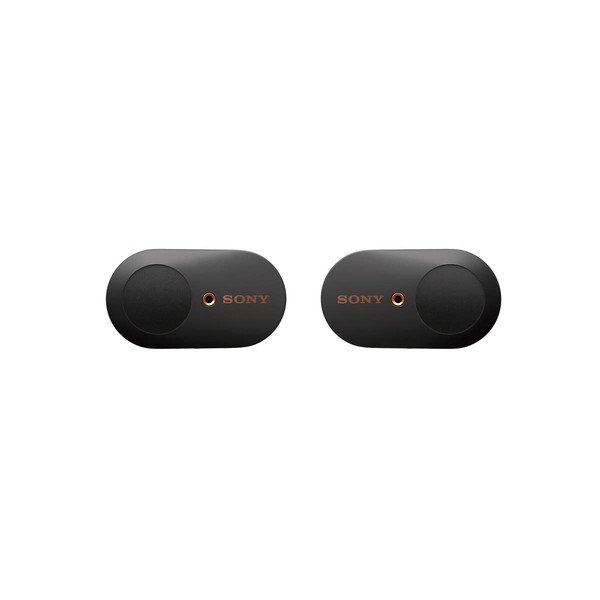 Sony WF-1000XM3 Industry Leading Noise Canceling Truly Wireless Earbuds Headset/Headphones