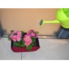 Felt Square Folding Planter Burgundy