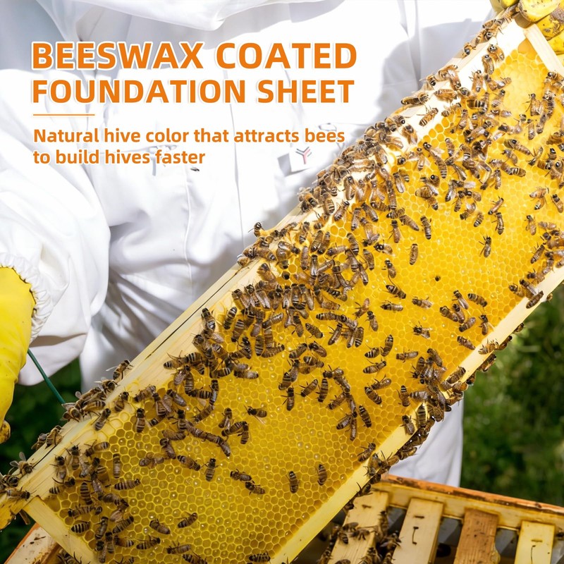 Beehive Wax Coated Foundation Sheet,8-1/2-Inch Deep Beeswax Foundation Sheets,10 Pcs
