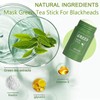 Stephanie Gottlieb Green Tea Mask, Green Tea Purifying Clay Stick