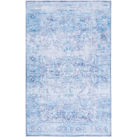 SAFAVIEH Tucson Collection Area Rug - 6' x 9', Purple & Blue, Persian Design, Non-Shedding Machine Washable & Slip Resistant Ideal for High Traffic Areas in Living Room, Bedroom (TSN185V)