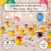 48pc Cowboy Ducks Mini 12 Styles Western Mini Resin Ducks