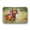 Merchandise for Fans Dachshund / Teckel / Dachshund - 6