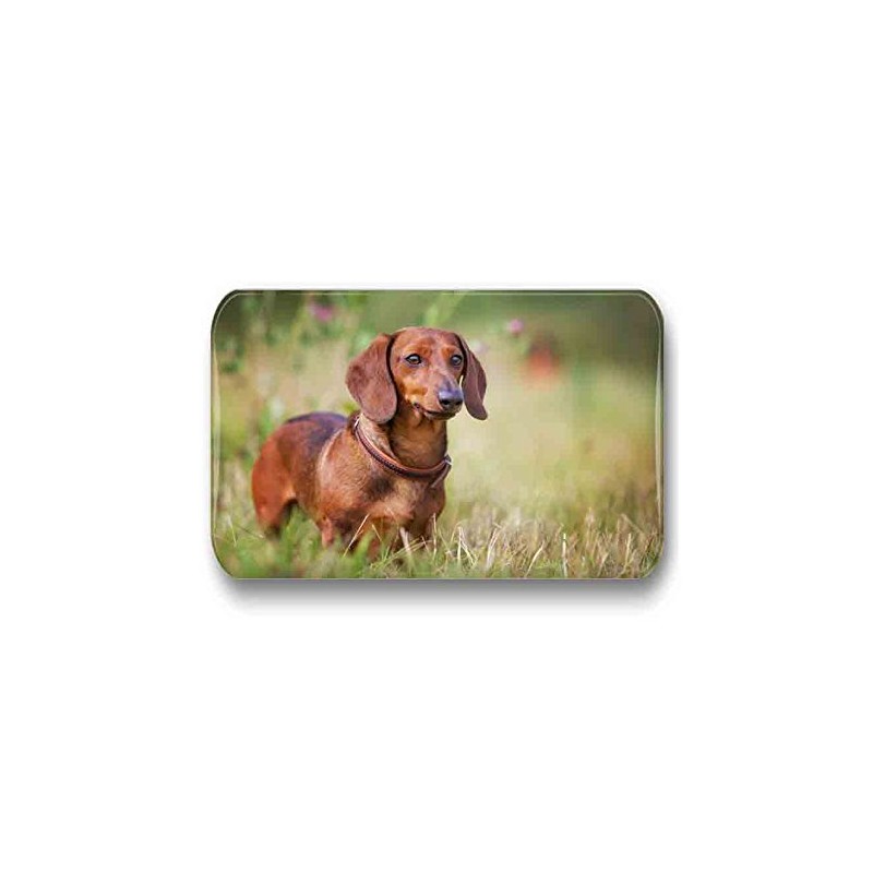 Merchandise for Fans Dachshund / Teckel / Dachshund - 6