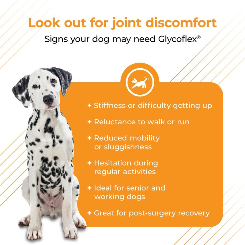 VetriScience Glycoflex 3 Clinically Proven Hip and Joint Supplement for