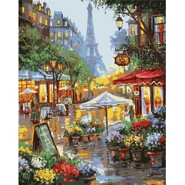 QUITEDEW Adults,Eiffel Tower,City,Garden Paint by Number Suitable for Home Wall Decoration 16x20 Inch