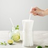 Basic Nature 8.3 Inch Compostable Straws, 100 Disposable Straws -