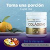 Colágeno Hidrolizado Puro en Polvo 360g - Vainilla | Con