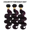 ALHER Black Mix Dark Burgundy Highlight Bundle Human Hair Body