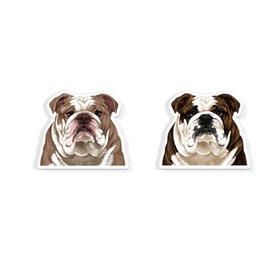 WIRESTER Set of 2 Fun Decorative Magnets for Home, Office, Classroom, Acrylic Magnets to Stick on Computer, Fridge, Washer, Dryer, Lockers - Cute Fawn English Bulldog, White Brindle English Bulldog