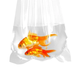AlfaEx Fishery Bags 6 Inches Leak Proof Rounded Bottom Corners Clear Plastic Fish Bags for Marine and Tropical Fish Transport. (6" x 12" / 1000 Pack / 2 Mil)