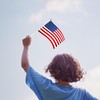 30 Pcs American Flags Small Flags On Sticks Hand Held