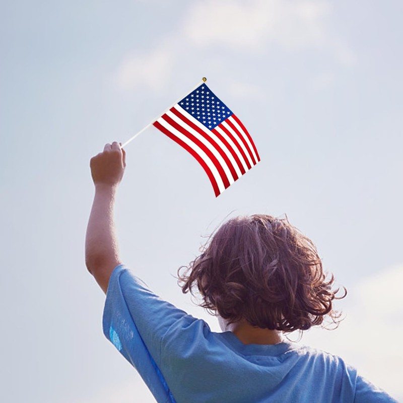 30 Pcs American Flags Small Flags On Sticks Hand Held