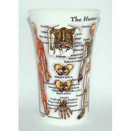DUNOON Tasse „The Human Body“