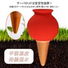 IRRVIN Automatic Watering Equipment, Plants, Automatic Watering, Potted Plants, Set