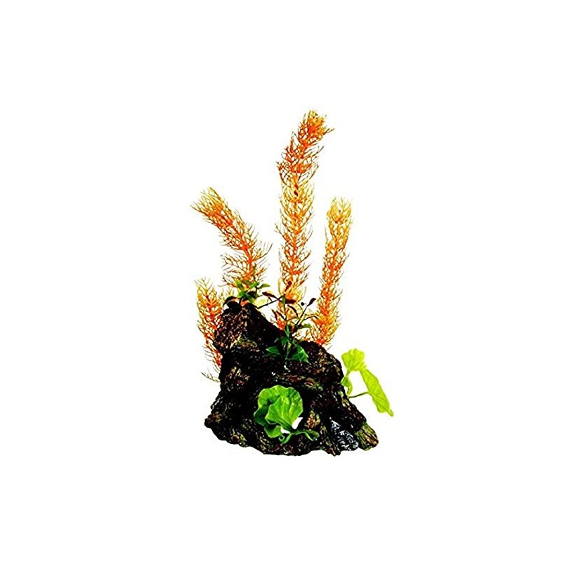 Marina Decorative Aquarium Wood L
