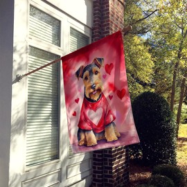 Caroline's Treasures DAC5456CHF Welsh Terrier My Valentine House Flag Large Porch Sleeve Pole Decorative Outside Yard Banner Artwork Wall Hanging, Polyester, House Size, Multicolor