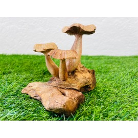 My Square Mile Wooden Mushroom Garden Ornament | Teak Wood For Indoor & Outdoor Use | 10cm x 10cm x 15cm, Hand Carved Garden Sculpture