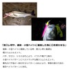 Daiwa Sea Bass Lure Morethan Hisoka 120F-SSR Orange Pearl Gigo
