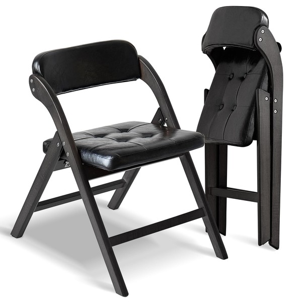 Asnefeli Padded Folding Chairs with Cushion 2 Pack, Comfortable Foldable