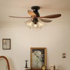 HonoDing Ceiling Lamp Replacement Shade Set of 4, Glass Ceiling
