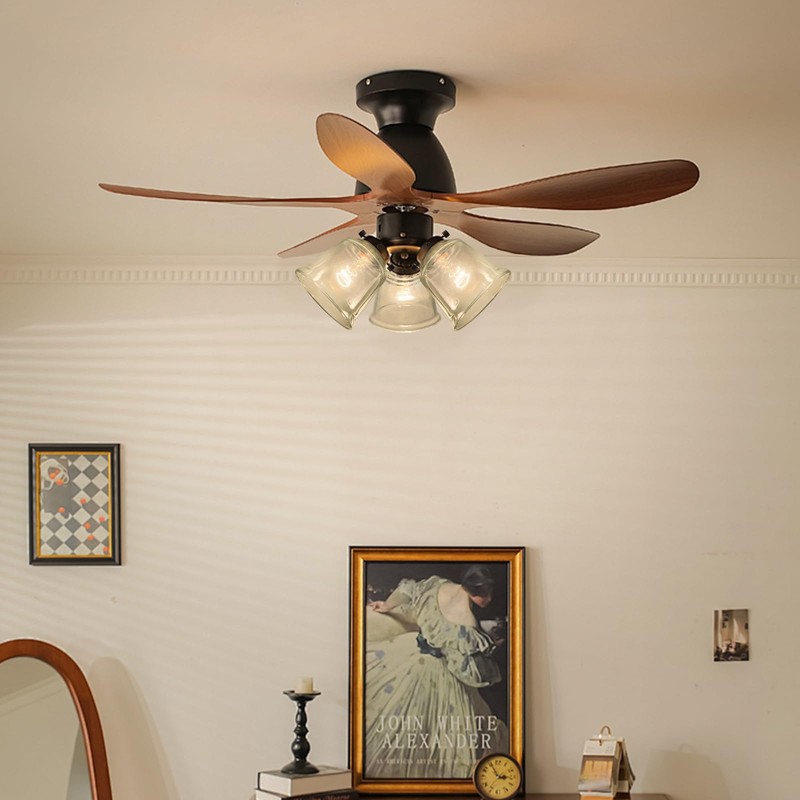 HonoDing Ceiling Lamp Replacement Shade Set of 4, Glass Ceiling