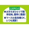 Skater ABS2AM-A Children's Chopsticks and Chopsticks Case Set, Ghibli Color,