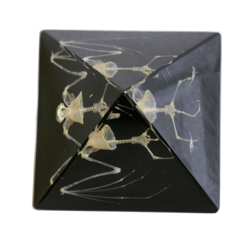 REALBUG Bat Skeleton Pyramid