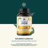 Melena De León Mushrooms Life 360+ 180 Cápsulas Hongo Melena