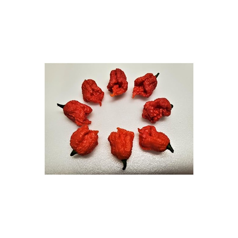 Dragons Breath Pepper Seeds