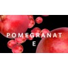 Olanta Trade Solution Antioxidant Herbal Supplement with Pomegranate Extract, Plant-Based