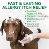 Vet's Best Allergy Itch Relief Dog Shampoo, 16 Ounces