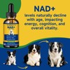 NAD+ Longevity Supplement for Senior Dogs, Vitality, Cognitive Health, 60ML