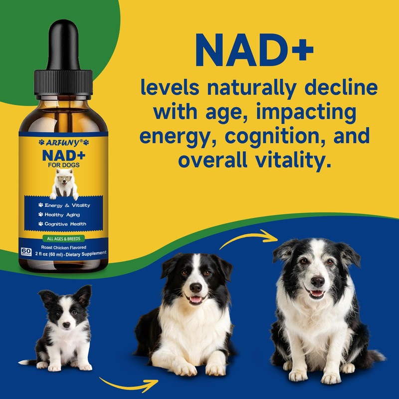 NAD+ Longevity Supplement for Senior Dogs, Vitality, Cognitive Health, 60ML