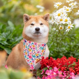 PTDECOR Floral Dog Bandana, Flower Reversible Pets Scarf, Premium Durable Fabric, Adjustable Pink Green Bandanas for Medium Large Dogs Pets (Large)