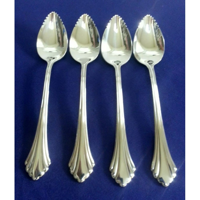 ONEIDA NEW Oneida REMBRANDT Fruit Spoons DISTINCTION Stainless Flatware -