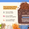 360 Nutrition Mushroom Coffee - Focus Blend