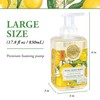 Michel Design Works Foaming Hand Soap, Lemon Basil