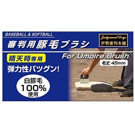 Ise Referee Honpo ISE-9001 Sunny Sky Pig Hair Brush