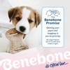 Benebone Puppy 2-Pack Dental Chew/Wishbone Chicken Small